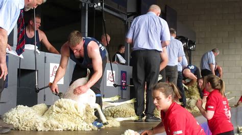 shearings scotland|scottish shearing perth news.